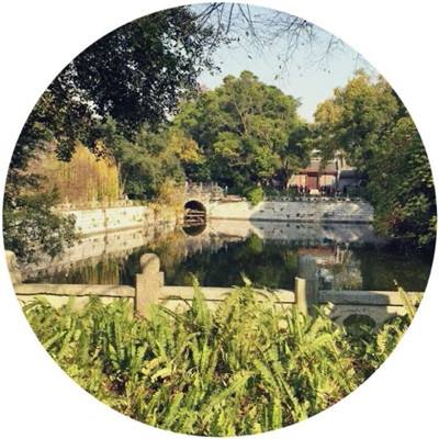 江湖行3官方下载